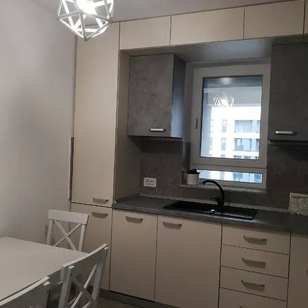 Grey House Apartment Brasov